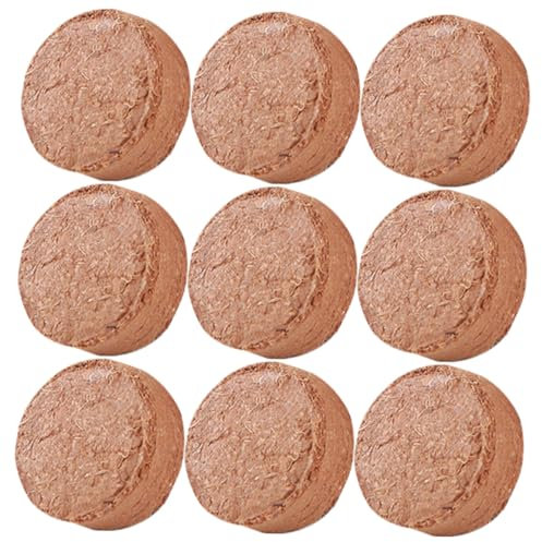 BESTonZON 60 Stück Kokosnuss Nährstoffblöcke Komprimierte Anzuchterde für Pflanzen für Gemüse und Zimmerpflanzen Einfach Anwendung Hervorragender Wasserhaltefähigkeit