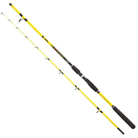 Jenzi Angelrute Continuum, 1.60m 20-100g