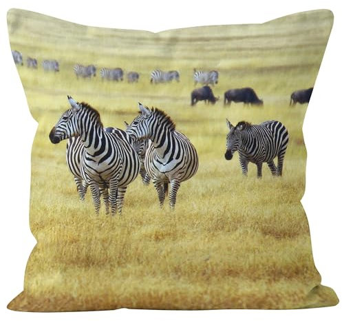 CEVAN Leinen Kissenbezüge Zierkissen Kissenbezug Outdoor Zebra Kissenbezüge Modern Kissenbezug Landhaus Kissenbezüge Sofa Dekor 45x45cm,1Pcs