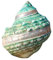 Coquillage naturel de coquille de noix de Conque， For la décoration 9-10Cm Conque naturelle for la décoration de mariage Fête à thème de plage, décorations for la maison, bricolage, aquarium et collec