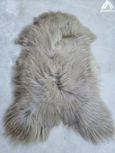 Provellus Echte Premium Langhaar Schaffelle skandinavischer Herkunft chromfrei L-XXXL (Hell Taupe, 130-140cm x 75-80cm)