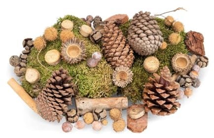 NaDeco Wald-Potpourri ca. 450g mit Maritima Tannenzapfen, Baumrinde, Lappenmoos, Platanbällen, Dekoästen, Zeereichel Fruchtbecher, Zypressen und Estrelinia Zapfen | Adventsdeko | Weihnachtsdekoration