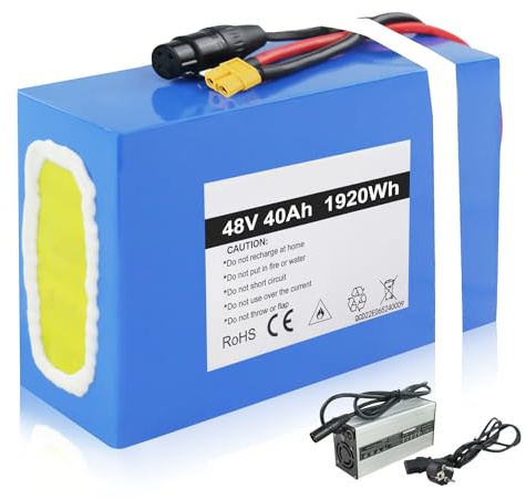 48V 40Ah Batterie Velo Electrique, Batterie vélo électrique avec Chargeur Rapide 4A, BMS 60A, Batterie Trottinette électrique pour Moteur 48V/60V/72V 250W-5500W