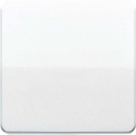 Jung Wippe CD590BFWW für Schalter/Taster