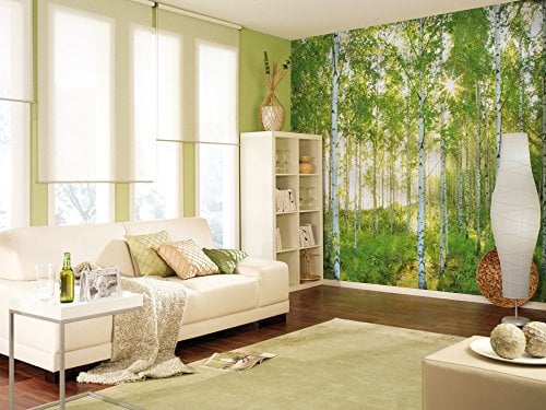 Komar XXL4-519 368 x 248 cm National Geographic Sunday Spring Birch Tree Forest Wallpaper Mural - Green (Pack of 4)