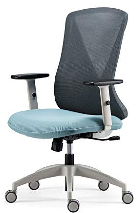 SXSGSM Stuhl Computerstuhl Home Office Rückenlehne Chefstuhl Ergonomischer Stuhl Schreibtisch Drehstuhl Sitz (Color : Orange) (Blau) The New