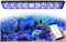 PopBloom H75 WiFi Meerwasser Aquarium Beleuchtung, Volles Spectrum Led Aquarium Lampe für Reef Coral SPS/LPS Fischaquarium, APP unterstützt Deutsch (75cm Lampe für 75-90cm)