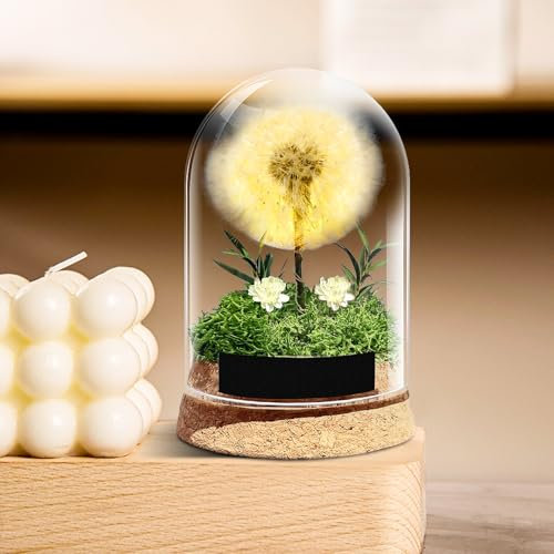 DASIAUTOEM Wunscherfüller mit LED Lichterkette, Geschenke für Frauen, Wunschblume Ewig haltbare Pusteblume im Glas, für Frauen Freundin Mädchen Mama Geburtstag Hochzeit Geschenke zum Muttertag