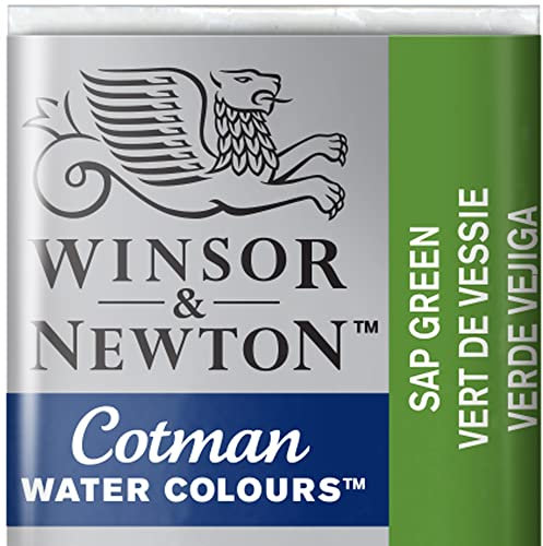 Winsor & Newton 0301599 Cotman Aquarellfarbe mit guter Transparenz, hervorragender Tönungsstärke und guten Maleigenschaften, Wasserfarbe im 1/2 Napf - Saftgrün