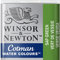 Winsor & Newton 0301599 Cotman Aquarellfarbe mit guter Transparenz, hervorragender Tönungsstärke und guten Maleigenschaften, Wasserfarbe im 1/2 Napf - Saftgrün