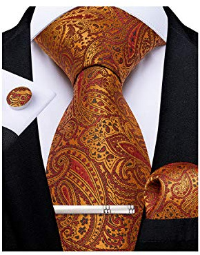 DiBanGu Brunt Orange Paisley Tie for Men Silk Necktie and Pocket Square Cufflinks Tie Clip Set Woven Wedding Party Formal Ties