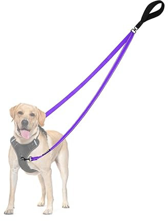 PetBonus No Pull Anti-Zieh Hundeleine, Keine Verwicklung Doppelleine für Anti-Zug Geschirr, Reflektierend Hundeleine zum Trainieren und Gassi gehen für große mittlere Hunde (Lila)