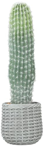 HOMCOM Cactus Artificial 66 cm Planta Decorativa Maceta Interior Verde | Planta Artificial, Decoración Hogar, Oficina, Salón