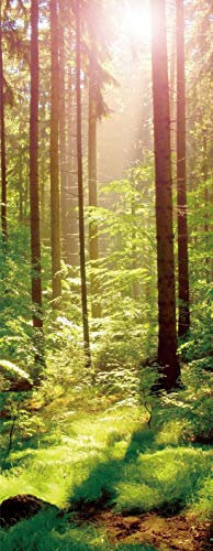 A.Monamour Türtapete Selbstklebend Türfolie Türposter 3D Magischer Frühlings Wald Mit Sonnen Naturlandschaft Vinyl Folie Türdeko Tapete Wandbild Türaufkleber Türtattoo 90 x 200 cm