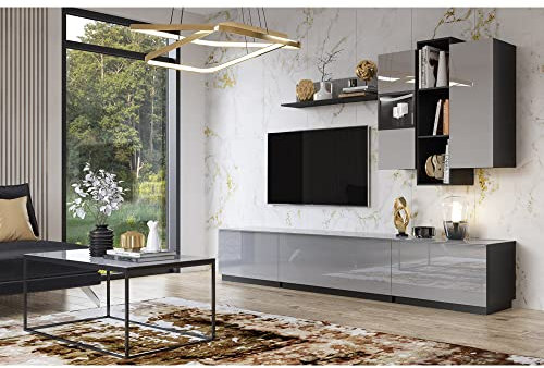 Lomadox Wohnwand modern grau mit LED Beleuchtung und Glasfronten, B/H/T: ca. 280/195/48 cm
