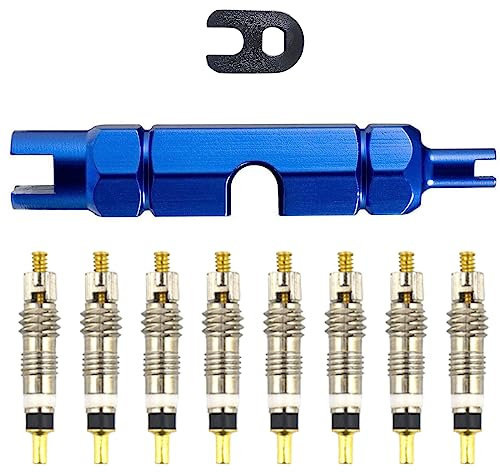 ASYKNM 10 Stücke Multifunktions Ventilkernentferner Werkzeugset mit Messing Ersatz Presta Ventilkern und Kappen für MTB Rennrad Fahrrad, Ventil Entferner Werkzeug