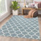 AMEHA Area Rugs for Bedroom - Rugs Living Room 120 x 170 Cm - Grey Modern Carpet - Non Shedding Trellis Style Durable Soft Touch Easy Care Large Rug (Ava)