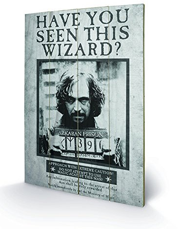 Pyramid International Harry Potter (Sirius Wanted) Holzwand-Kunst, Holz, Mehrfarbig, 40 x 2.5 x 59 cm