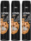 Lynx XXL Bodyspray Leather & Cookies 48H Odour Protection Deodorant, 250ml Pack of 3