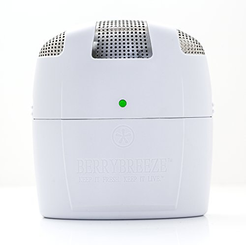 Berrybreeze Bb-100 White Activated Oxygen Refrigerator Deodorizer and Odor Eliminator