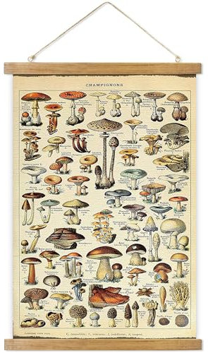 Vintage Hanging Posters, Decorative Mushroom Wall Art Prints, Printed on Linen with Wood Frames, Ready to Hang