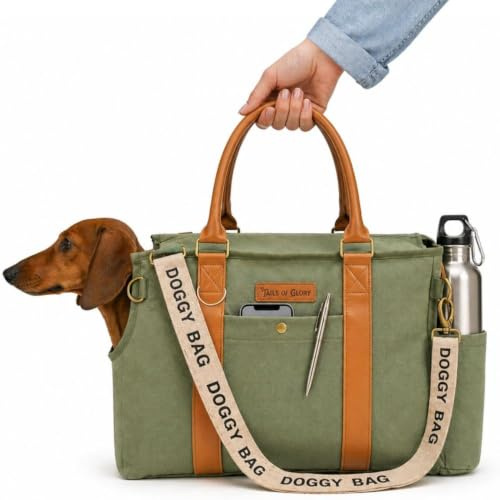 Tails of Glory Jane Hundetasche Grün – Stilvolle Hundetransportbox für kleine Hunde bis 8 kg, Faltbare Transportbox Hund fürs Auto, Reisen & Alltag