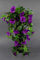 Petunienranke 65cm lila ZF Kunstpflanzen künstliche Petunie Pflanzen Blumen Kunstblumen Petunienhänger