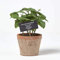 HOMESCAPES Plante Verte Artificielle en Pot Basilic, Herbe aromatique Artificielle