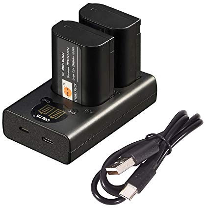 DSTE DMW-BLK22 Rechargerable Battery (2-Pack) and Smart LED Dual USB Charger Compatible with Panasonic Lumix S5 DC-S5K DC-S5GK