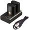 DSTE DMW-BLK22 Rechargerable Battery (2-Pack) and Smart LED Dual USB Charger Compatible with Panasonic Lumix S5 DC-S5K DC-S5GK