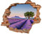 Wandtattoo - Wanddurchbruch mit Aussicht Lavendelfeld 50 x 41 cm - Wandsticker