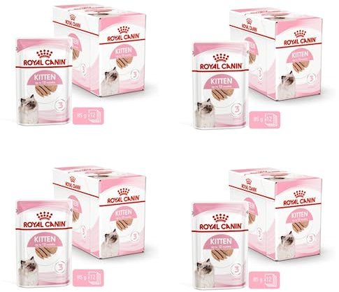 Royal Canin Feline Kitten Stückchen in Gelee | 4er Pack | 4 x 12 x 85g | Alleinfuttermittel für Katzenwelpen in der zweiten Wachstumsphase bis zum 12. Monat