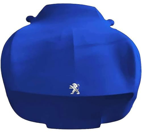 ENTYZE Auto Komplette Autoabdeckungen für Peugeot 207 CC Coupe Cabrio 2007-2015,Stretch Stoff Gewebe Weiches Futter Eng Anliegendes Atmungsaktives Staubdichtes Außenzubehör,Thickened-C