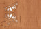 Bastel/Origami - Postkarte aus Holz, Zedernholz, Verschiedene Motive (Schmetterling/Butterfly)