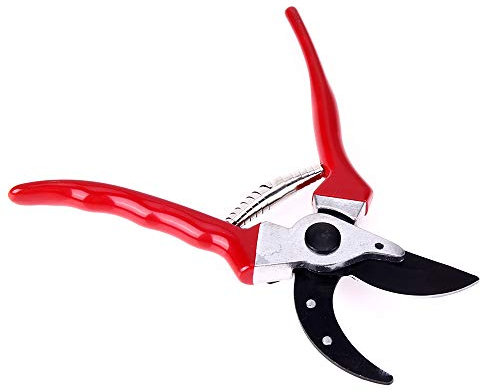 TopHomer Coltello da innesto e potatura, acciaio inossidabile per potatura in erba