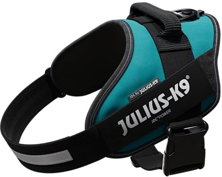 JULIUS-K9 IDC Powerharness, L, no pull dog harness, Petrol Green
