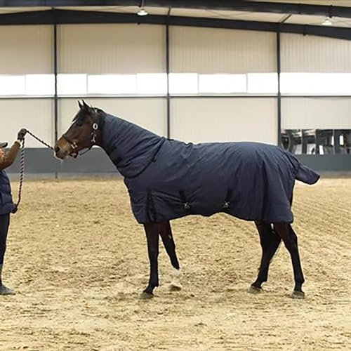 MaJu Abnehmbare Hohe Hals Paddock Decke Pferd Decken 300g Füllung Warm Und Wasserdicht,Blau(Size:155cm)