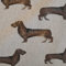 Stoff Meterware Baumwolle natur Dackel Hund Teckel Dachshund pflegeleicht Dekostoff Vorhangstoff Leinenoptik Meterpreis