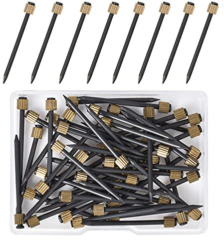 50 Pezzi Chiodi per Quadri Muro, Chiodini per Quadri Muro, Chiodi per Appendere Quadri, 35mm Ganci Chiodi Ottone, Testa Perni Foto Chiodi in Acciaio per Appendere Quadri Ganci da Parete