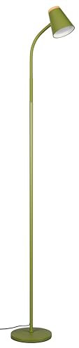 Reality Leuchten LED Stehleuchte Pongo R45831115, Kunststoff Grün, Holznachbildung, inkl. 4.5 Watt LED, Flexarm