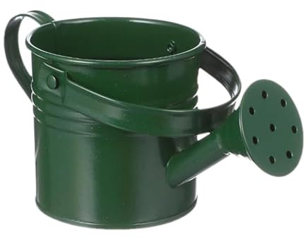Annaffiatoio in acciaio zincato, 6 l, con testa rimovibile per irrigazione, antiruggine, beccuccio lungo per giardino, piante d'appartamento da interni, decorazione per patio, cura del prato