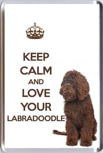 A Fridge Magnet with a Picture of a Brown Labradoodle Dog with The Words Keep Calm and Love Your Labradoodle from Our Keep Calm and Carry ON Range. A Unique Birthday Gift idea for a Dog Lover!