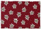 GIRAFFENLAND Rapssamenkissen 30 x 20 cm, Blume-Edelweiß - Als Wärmekissen & Kältekissen - Körnerkissen für Mikrowelle und Backofen - Rapskissen, 30x20cm