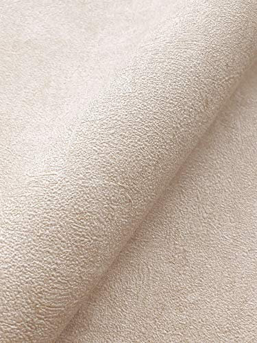 NEWROOM Tapete Beige Vliestapete Beton - Beton-Optik Industrial Creme Natur Uni Putz Loft Vintage Unitapete Putz-Optik Used-Look inkl. Tapezier-Ratgeber