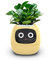 TPHRAVAL Intelligenter Blumentopf, elektronische Knospe, Wartungspflanzenassistent, lustiger interaktiver Blumentopf, Indoor-Grünpflanzüberwachung, LCD-Bildschirm, Handy-App-Verbindung (Gelb)