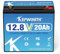 KEPWORTH 12V 20Ah LiFePO4 Batterie Lithium akku