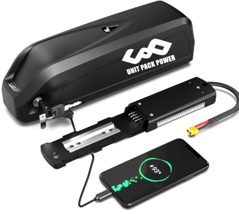Batterie de vélo électrique 36v 25Ah Hailong pour Kit de Conversion | Batterie de moteur pour roue avant/arrière Moteur central(chargeur inclus) (36V 25Ah /Plus Taille/LG5000/Cell)