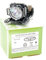 Alda PQ-Premium, Beamerlampe/Ersatzlampe kompatibel mit DT00841 für HITACHI CP-X200, CP-X205, CP-X300, CP-X305, CP-X308, CP-X400, CP-X417, X200, X205, ED-X30 Projektoren, Lampe mit Gehäuse