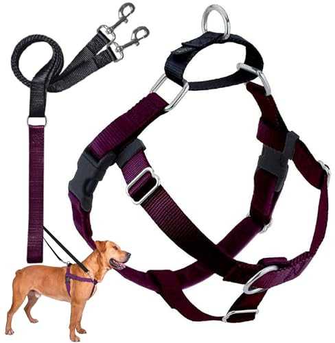 2 Hounds Design Freedom No-Pull Dog Harness with Leash, Large, 1-Inch Wide, Burgundy