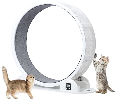 Reheyre Katzen-Trainingsrad, Katzenlaufrad mit Verriegelungsmechanismus, Holz Haustier Laufband, Katze Fitnessrad, Niedliche Katzenmöbel, Katzenlaufband, Katzenrad, Katzenspielzeug, Haustiere